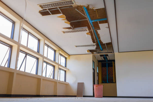 Best Flood restoration services  in Fort Washakie, WY