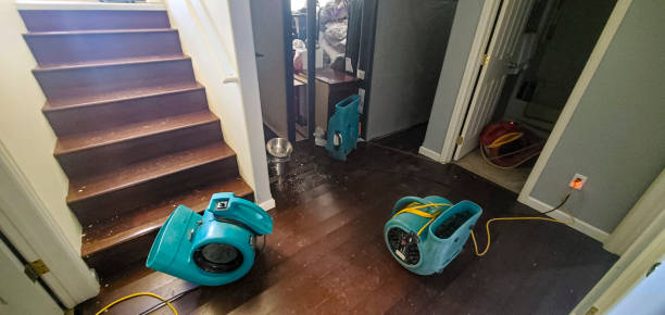 Best Professional water damage repair  in Fort Washakie, WY