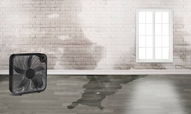 Best 24-hour water damage restoration  in Fort Washakie, WY