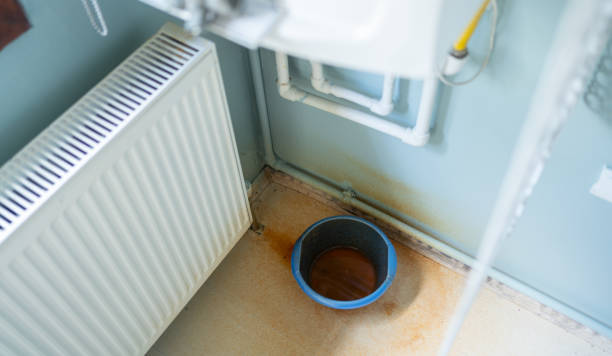 Best Water damage contractors near me  in Fort Washakie, WY