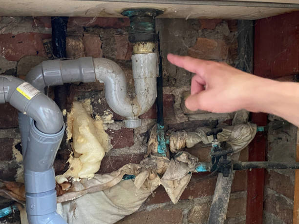 Best Local water damage restoration  in Fort Washakie, WY